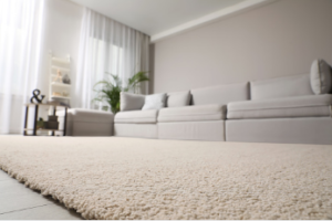 The-RugMan rug cleaning Adelaide