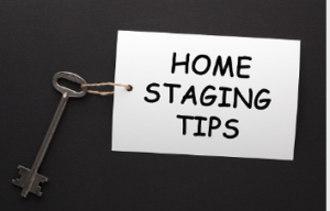 conveyancer Adelaide
