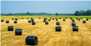 silage wrap suppliers online