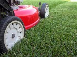 quick lawn mowing services Adelaide